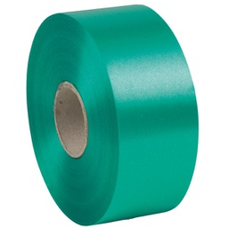 [88198] Nastro liscio 6800 50mmx100mt colore verde bandiera 09 Brizzolari