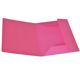 [STL6122] Pack 25 Cartelline 3 Lembi CICLAMINO in bristol 200g Starline