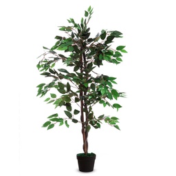 [89863] Pianta ornamentale FICUS H120cm