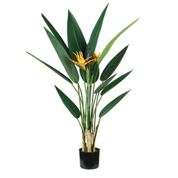 [93983] Pianta ornamentale Sterlizia 12 foglie e 2 fiori
