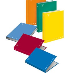 [35216] RACCOGLITORE 4 ANELLI 30mm MONOCROMO A4 26X32X4CM PIGNA