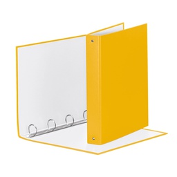[74741] RACCOGLITORE Meeting 30 A4 4R IN PPL Giallo Esselte