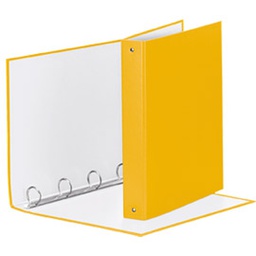 [74741] RACCOGLITORE Meeting 30 A4 4R IN PPL Giallo Esselte