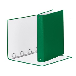 [74745] RACCOGLITORE Meeting 30 A4 4R IN PPL Verde Esselte
