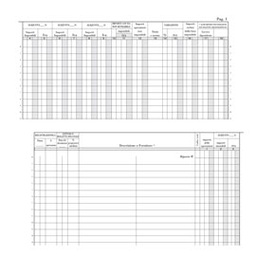 [51994] REGISTRO IVA ACQUISTI 22 PAG. NUMERATE 31X24,5CM E2116N EDIPRO