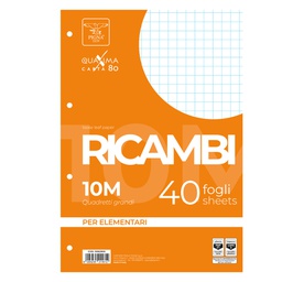 [28847] RICAMBI FORATI A4 10MM QUAXIMA 40FG 80GR PIGNA