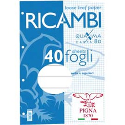 [28829] RICAMBI FORATI A5 1RIGO 80GR QUAXIMA 40FG 80GR PIGNA