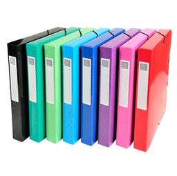 [89297] Scatola archivio box Iderama dorso 40mm A4 col ass. Exacompta