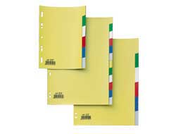 [25673] SEPARATORE 12 TASTI COLORATI 21X29,7 PPL RECORD SA412N SEI