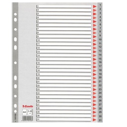 [45645] Separatore in PPL grigio numerico 1-31 f.to A4 ESSELTE