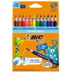 [100740] Astuccio 12 matite Evolution Triangle colori assortite BIC