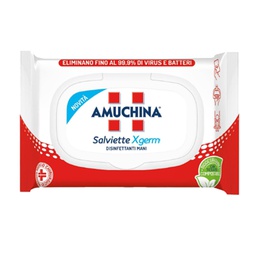 [102113] 20 Salviette disinfettanti mani Xgerm Amuchina