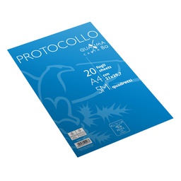 [98514] Fogli protocollo A4 5mm 20fg 80gr Pigna