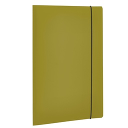 [103163] Cartella 3 Lembi HOLOS in PP verde  25x35cm Fellowes