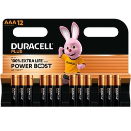 [103670] Blister 12 pile Duracell PLUS POWERBOOST - AAA MiniStilo