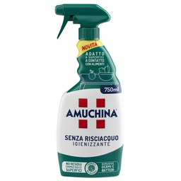 [106019] Amuchina Igienizzante multiuso 750ml senza risciacquo Amuchina Professional