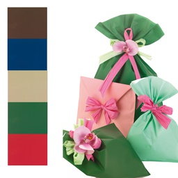 [70935] 100 BUSTE REGALO IN PPL MAT A everyday classic 25x40cm 5 colori classici