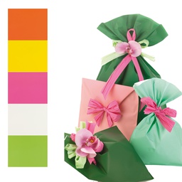 [70928] 100 BUSTE REGALO IN PPL PERLA MAT 16x25cm assortimento 5 colori