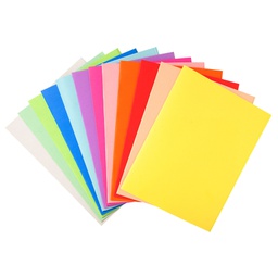 [71853] 100 CARTELLINE SEMPLICI 220gr 24x32cm MIX 10 COLORI FOLDYNE