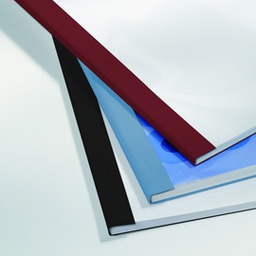 [39463] 100 CARTELLINE TERMICHE 3MM ROSSO BUSINESS LINE LEATHER