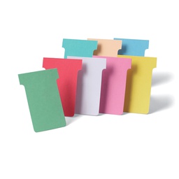 [49319] 100 SCHEDE A T INDICE 2 BIANCHE PER PLANNERS
