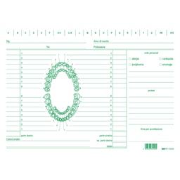 [53166] 100 SCHEDE PER DENTISTI 17X24CM VERDE E3529 EDIPRO