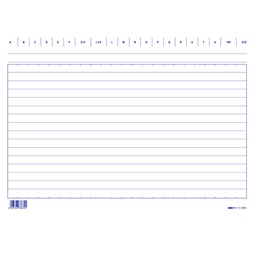 [57365] 100 SCHEDE RIGATE 17X24CM ORIZZONTALE E3363BL EDIPRO