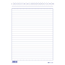 [65349] 100 SCHEDE RIGATE 21X15CM VERTICALE E3326BL EDIPRO