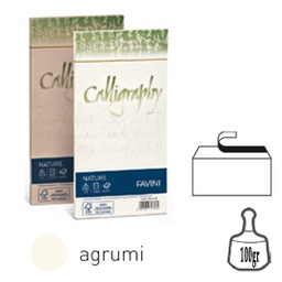 [79787] 25 buste Calligraphy Nature CRUSH 100gr 110x220mm agrumi FAVINI