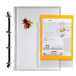 [25994] 25 BUSTE FORATE 23X33-15 ERCOLE PVC SEI ROTA