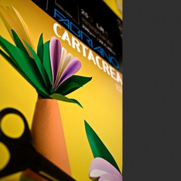 [37237] Blister 10fg cartoncino 35x50cm 220gr nero Cartacrea Fabriano
