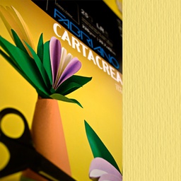 [37242] Blister 10fg cartoncino 35x50cm 220gr onice Cartacrea Fabriano