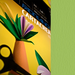 [59690] Blister 10fg cartoncino 35x50cm 220gr verde pisello Cartacrea Fabriano