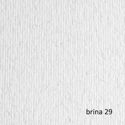 [67621] BLISTER 10FG CARTONCINO 70X100 220GR BRINA 129 FABRIANO ELLE ERRE