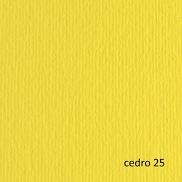 [61132] BLISTER 10FG CARTONCINO 70X100 220GR CEDRO 125 FABRIANO ELLE ERRE
