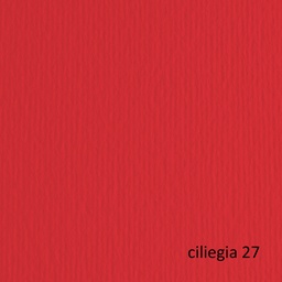 [61134] BLISTER 10FG CARTONCINO 70X100 220GR CILIEGIA 127 FABRIANO ELLE ERRE