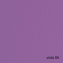 [53106] BLISTER 10FG CARTONCINO 70X100 220GR VIOLA 104 FABRIANO ELLE ERRE