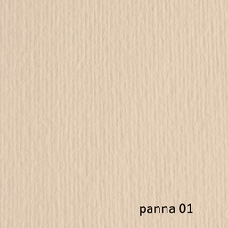 [46490] BLISTER 20FG CARTONCINO 50X70 220GR PANNA 101 FABRIANO ELLE ERRE