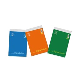 [97629] Blocco Colours f.to A6 5mm 60fg 60gr Pigna