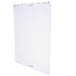 [57599] BLOCCO PER LAVAGNA 20FG 65X98CM QUADRETTI LEGAMASTER