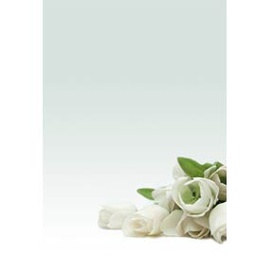 [76227] CARTA CON STAMPA ''ROSA BIANCA''' A4 90GR 20FG DECADRY