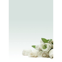 [76227] CARTA CON STAMPA ''ROSA BIANCA''' A4 90GR 20FG DECADRY