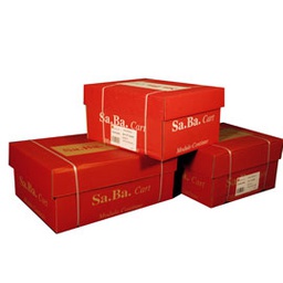 [64662] CARTA IN MODULO CONTINUO 37,5X11''X2 53GR (1000FG LF Piste Staccabili